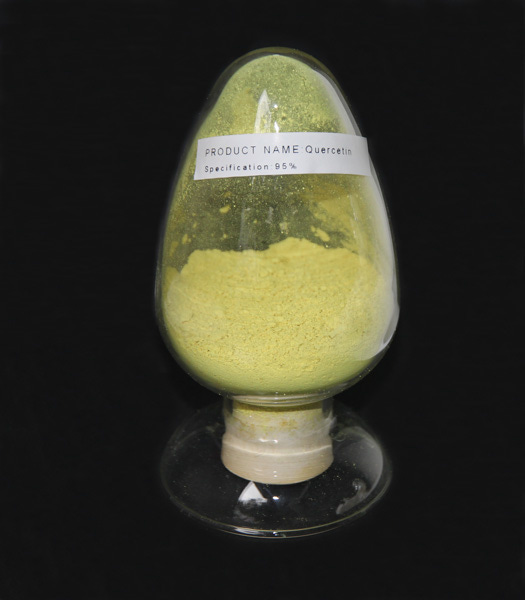 Quercetin Powder Bulk, High Quality Quercetin Supplier | Cas 6151-25-3 |  Kindarco