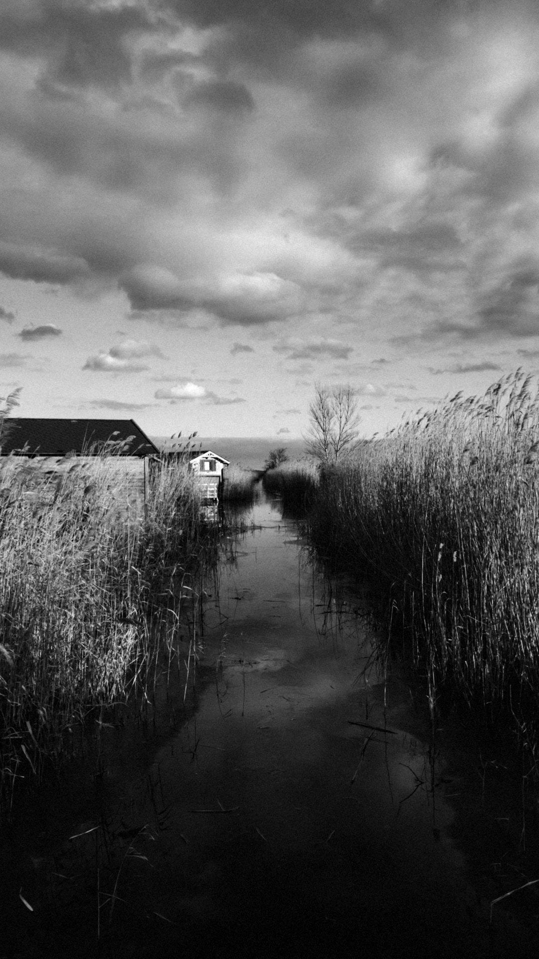brown wooden house near brown grass under cloudy sky during daytime brown wooden house near brown grass under cloudy sky during daytime