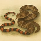 The Illusion of Complexity