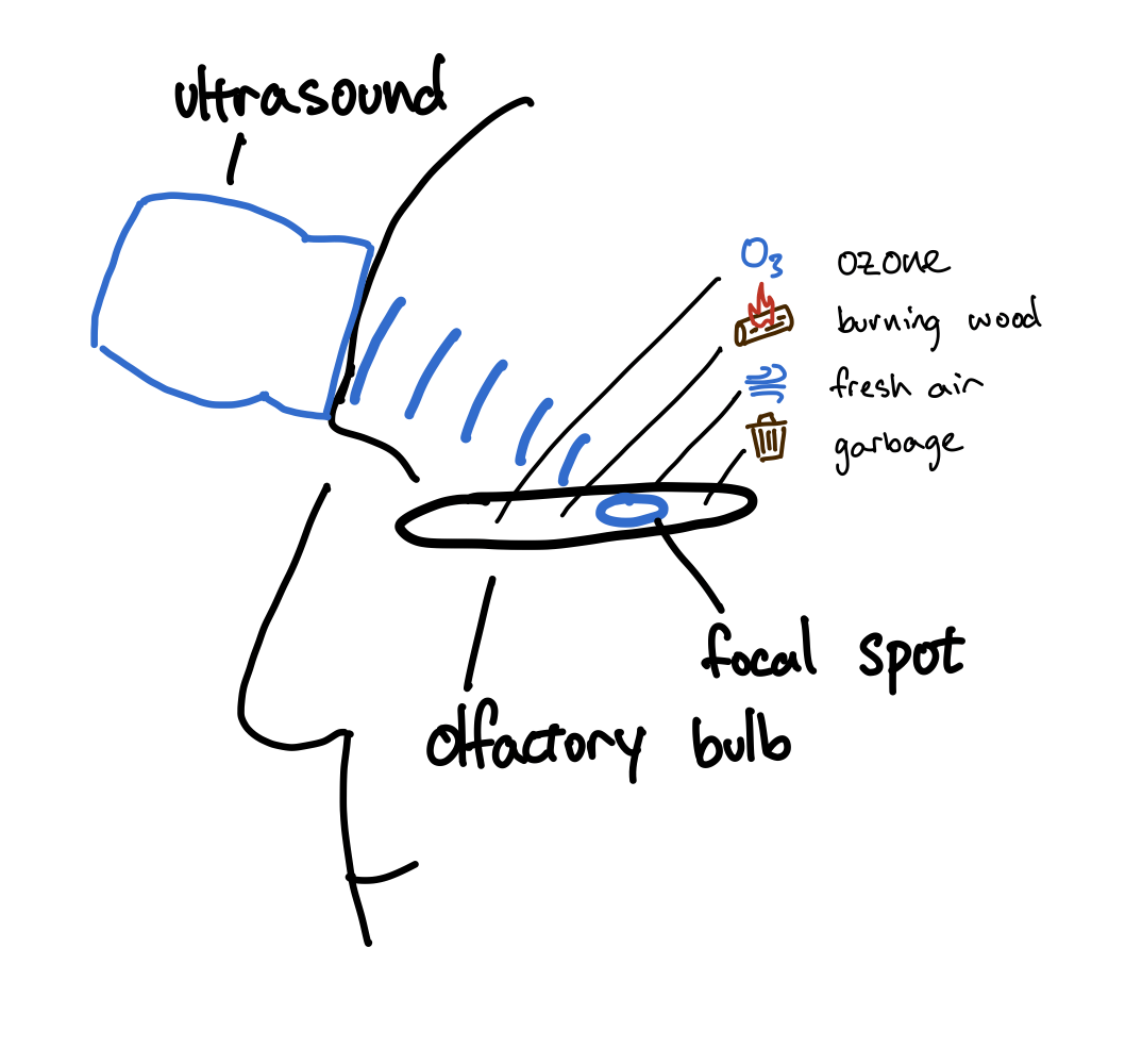 Olfactory illustration Olfactory illustration