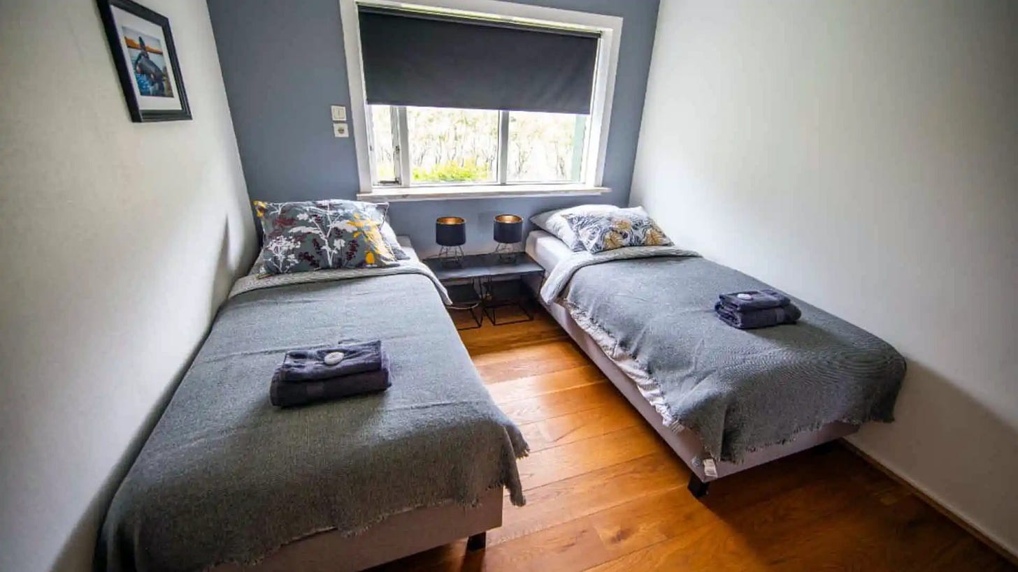 Twin Beds in Blue Bedroom