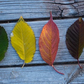 Maybe Bodies Aren't Meant to Do This?