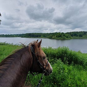 Baronscourt in full bloom for ILDRA Endurance Ride