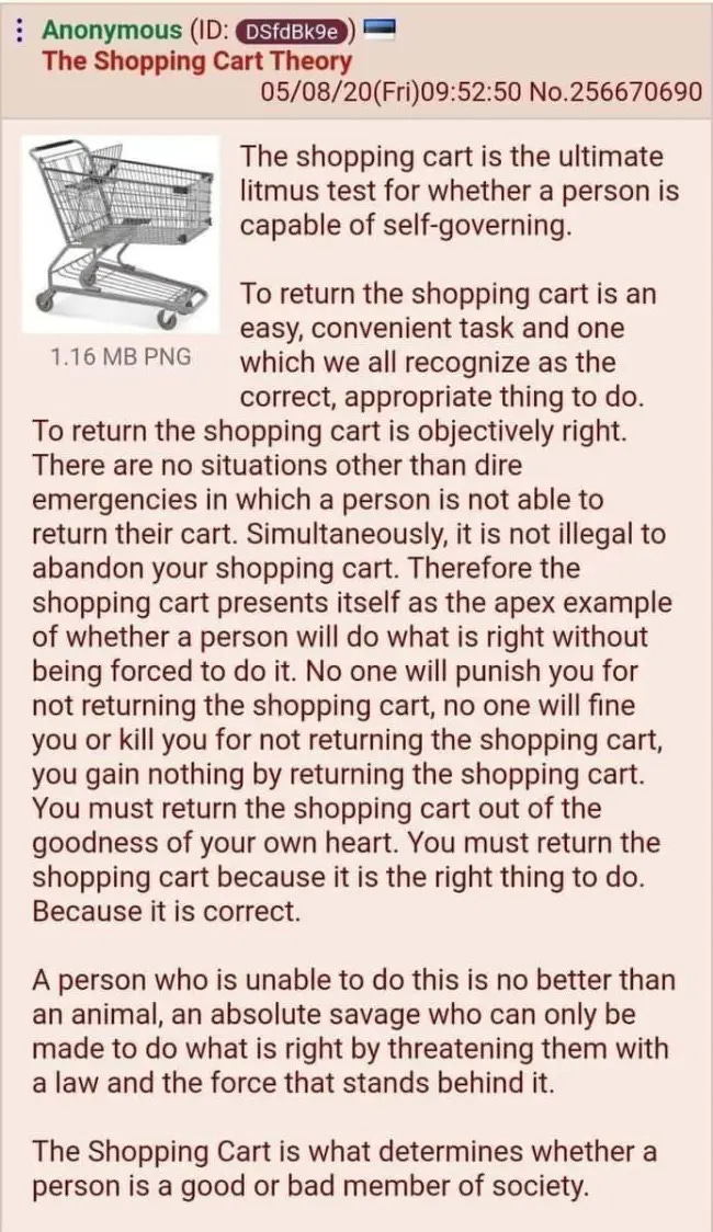 Deconstructing the Shopping Cart Theory: An Ethical Discussion | Sean  Conklin