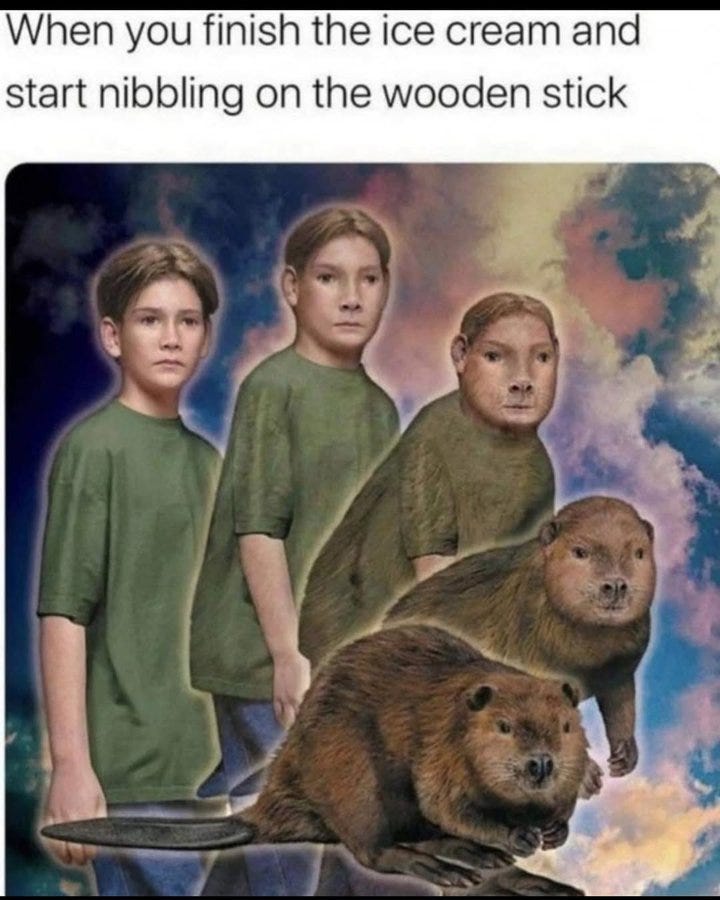 Three figures wearing green shirts, transitioning into a beaver, set against a colorful sky background with clouds. Text overlay reads "When you finish the ice cream and start nibbling on the wooden stick."