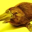 User's avatar