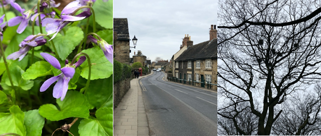 Left Early Dog Violet, Wentworth High Street and the Rookery.