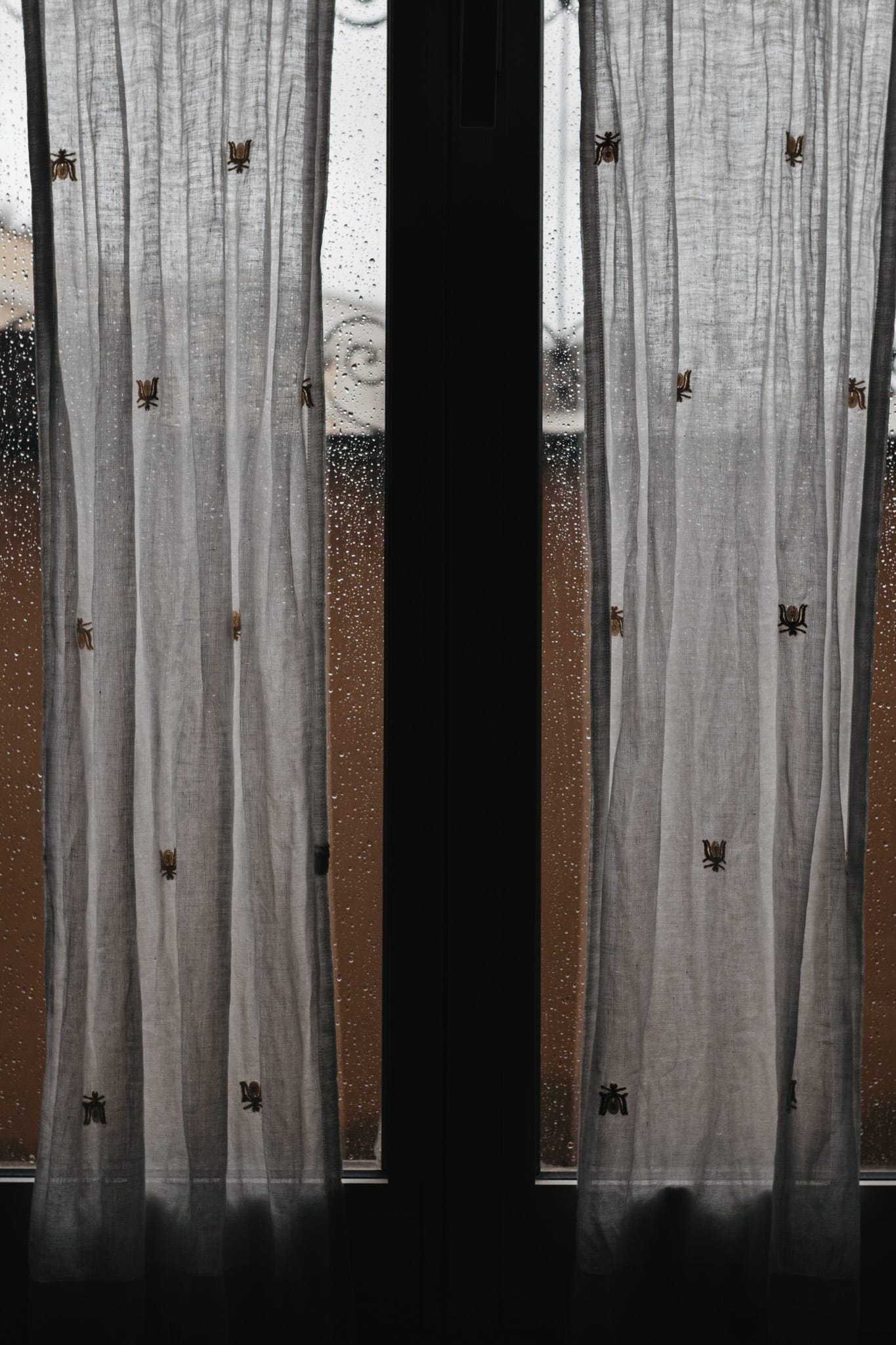 Raindrops on a glass door seen through sheer embroidered curtains, capturing a quiet, moody moment of stillness on a rainy day in Rome.