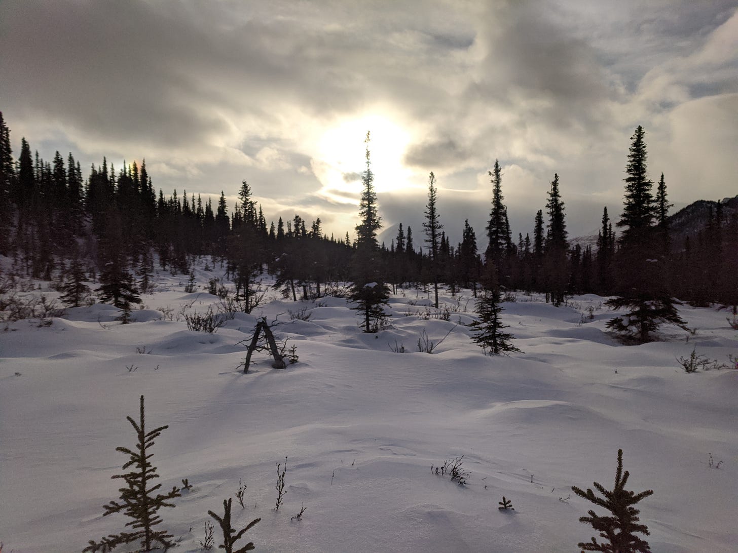 a snowy landscape at sunset