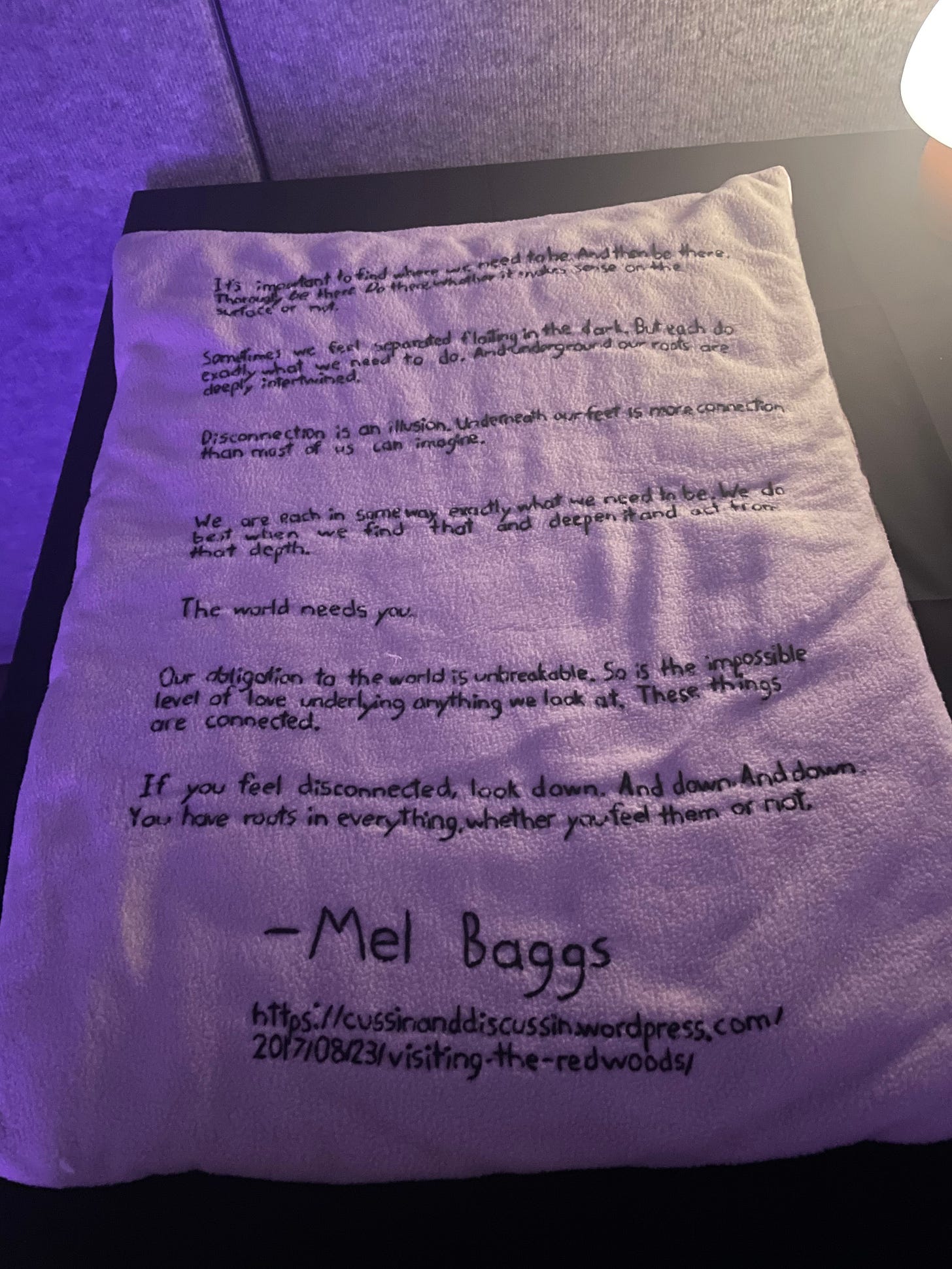 embroidered touchable mel baggs quote pillow on the sensory room altar, by Alex Salerno (full text and image description of work in link