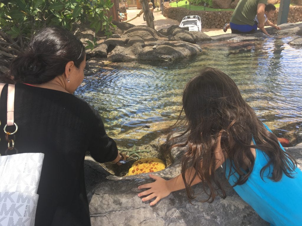 Maui Ocean Center