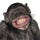 X avatar for @FunnySight