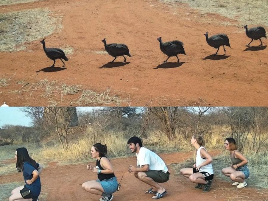Take The First Step Into A Conservation Career Take The First Step Into A Conservation Career
