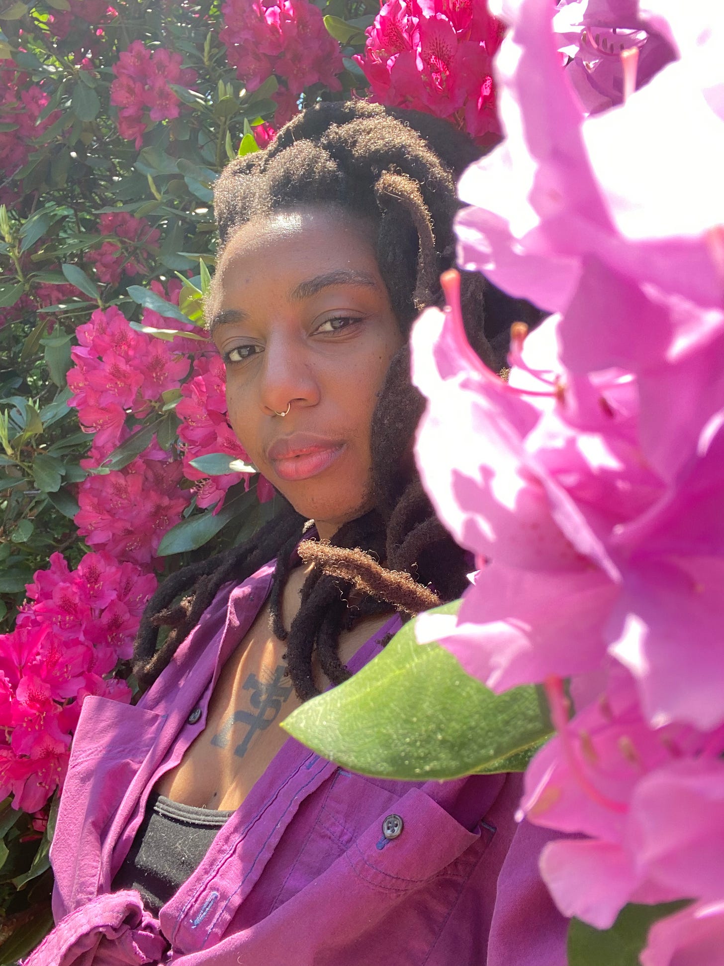 beautiful black woman with locs and a gold septum piercing gazing sensuously at the camera standing amidst a large bush of pink and purple flowers. beautiful black woman with locs and a gold septum piercing gazing sensuously at the camera standing amidst a large bush of pink and purple flowers.