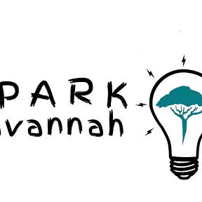 The Spark Savannah