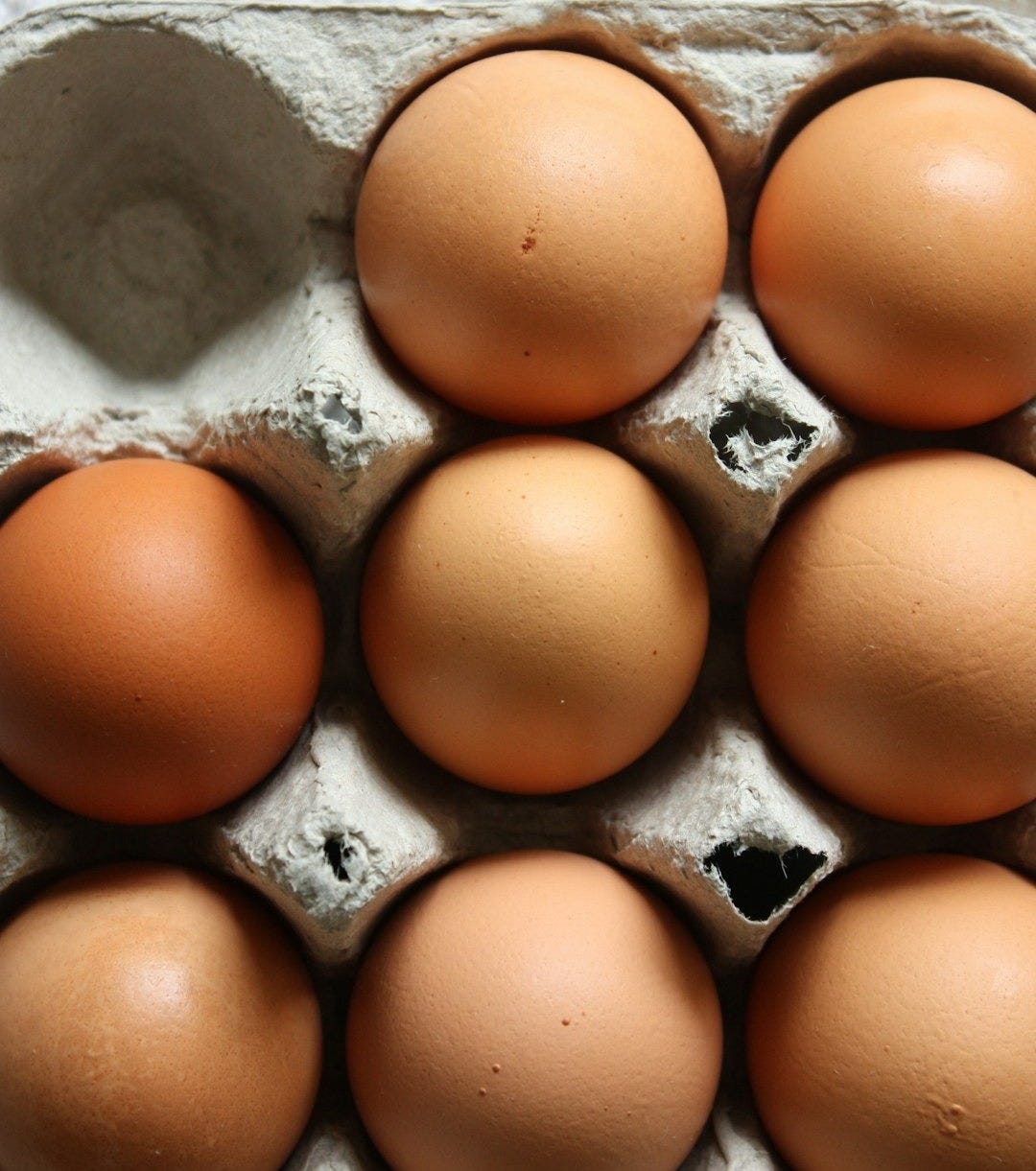 brown eggs on gray egg tray