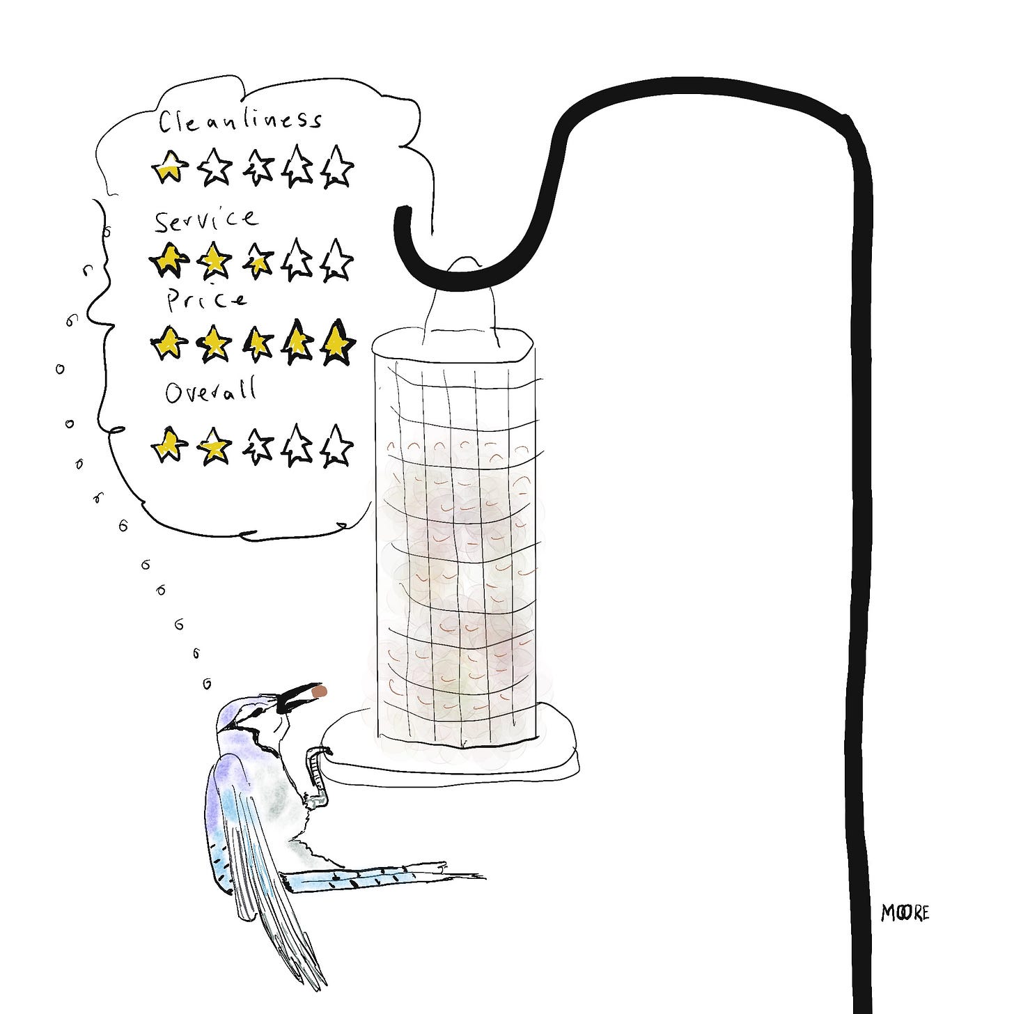 Blue jay on a peanut feeder