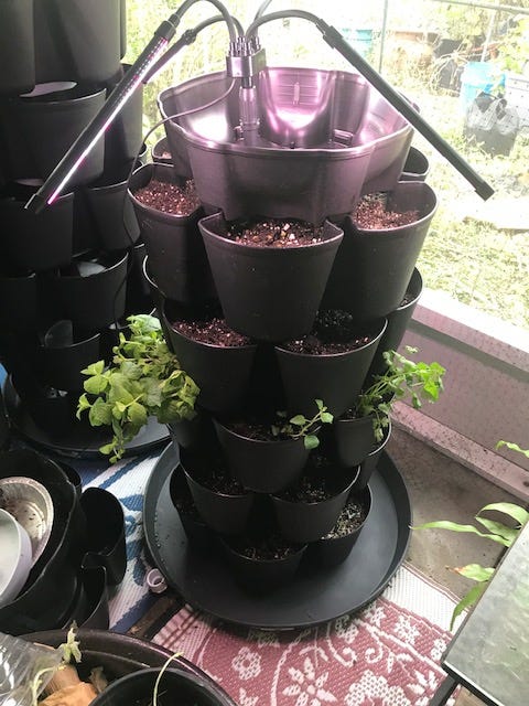 GreenStalk Leaf with herbs and salad mix