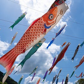 Why Carp Are Swimming Across Japan’s Sky