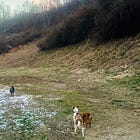 đŞˇKindness Is Not