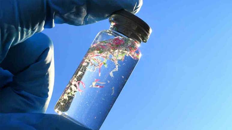 microplastics pharmaceuticals drinking water microplastics pharmaceuticals drinking water