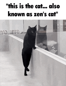 a black cat standing on a railing with the caption " this is the cat ... also known as zen 's cat " a black cat standing on a railing with the caption " this is the cat ... also known as zen 's cat "
