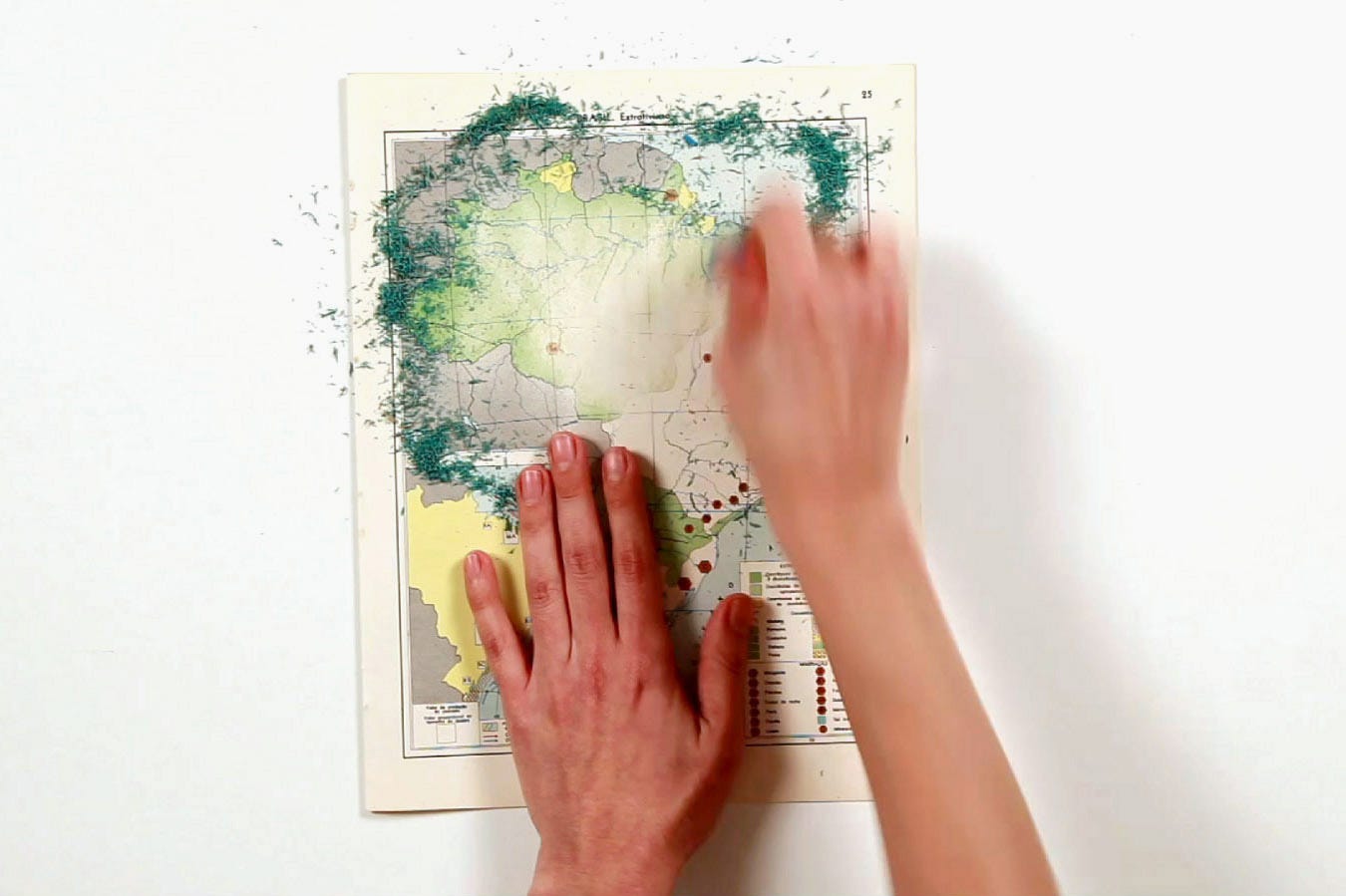 Marina Camargo, Brazil. Extrativismo, (video, 10'14"; still), 2017 [Galeria Superfí­cie, São Paulo. © Marina Camargo]