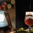 Could Celly Drippins Become The Next Pliny The Younger?