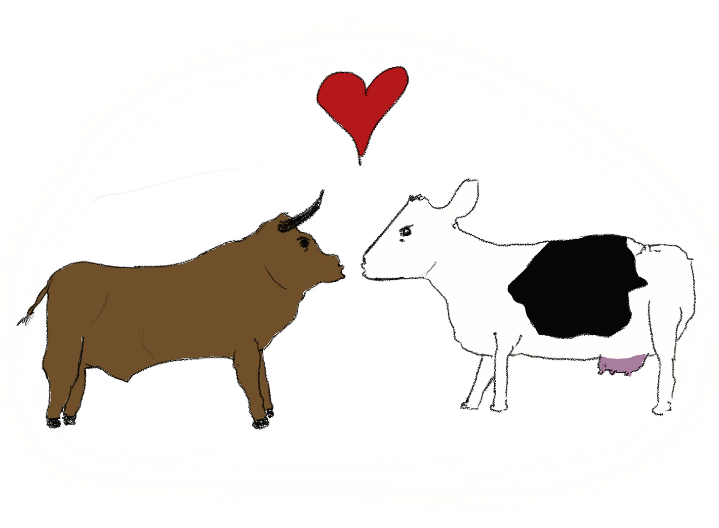 A cow and a bull about to kiss with a heart between them.