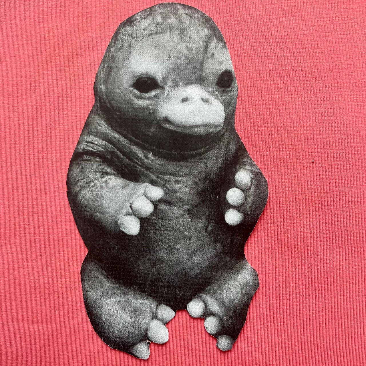 Substack profile picture for @platypus