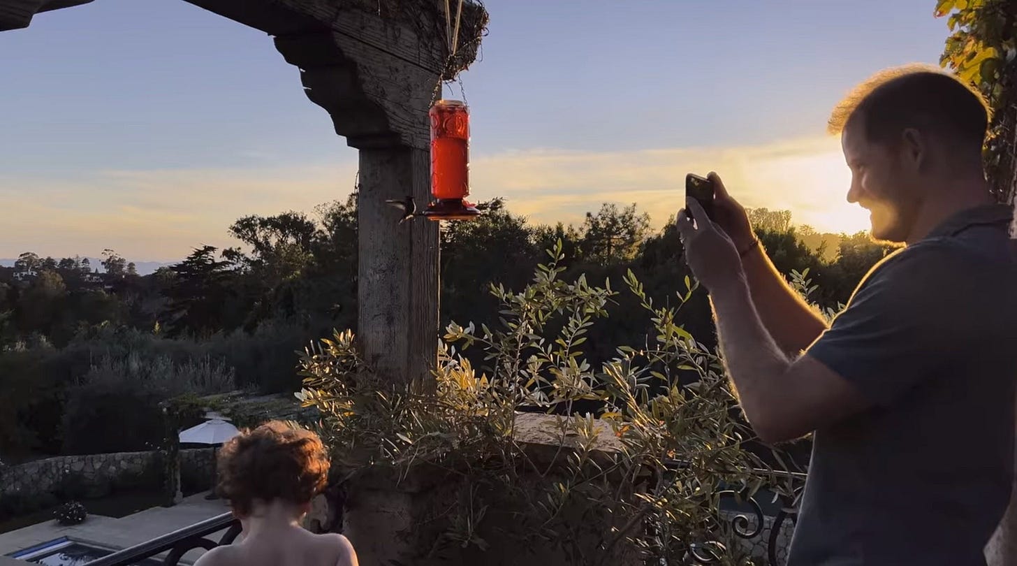 Prince Harry Shares Sweet Moment Watching Hummingbirds With Archie in New  Docuseries
