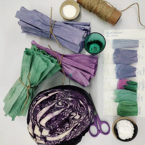 Pictures of red cabbage and papers dyed using red cabbage in December 2022. Bright jewel tones of green, turquoise, blues, lilacs and purples.