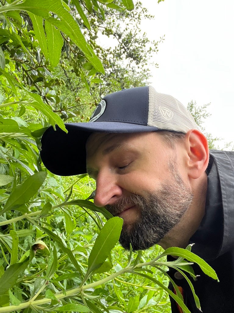 A picture containing person, human face, tree, person

Description automatically generated