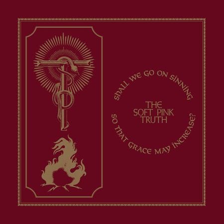 The Soft Pink Truth: Shall We Go On Sinning So That Grace May Increase?  Album Review | Pitchfork