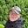 Mose's avatar