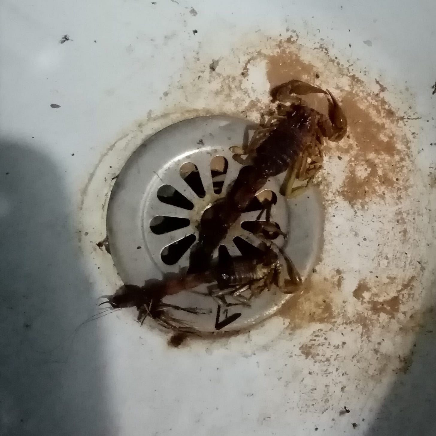 No photo description available.