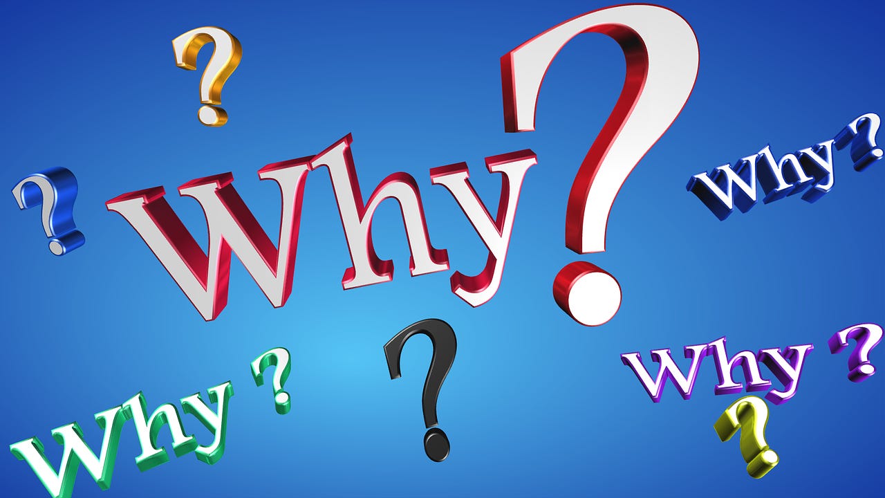 Why? Why?