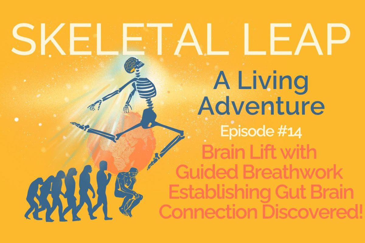 Brain Lift with Guided Breathwork Establishing Gut Brain Connection Discovered! Brain Lift with Guided Breathwork Establishing Gut Brain Connection Discovered!