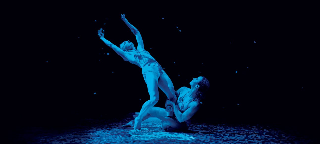 06_pilobolus-1292×584