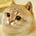 立党 lidang's avatar