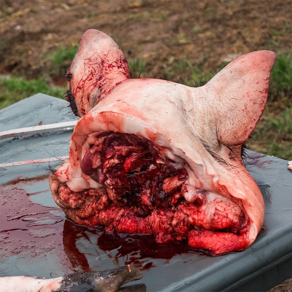 Unparalleled Suffering