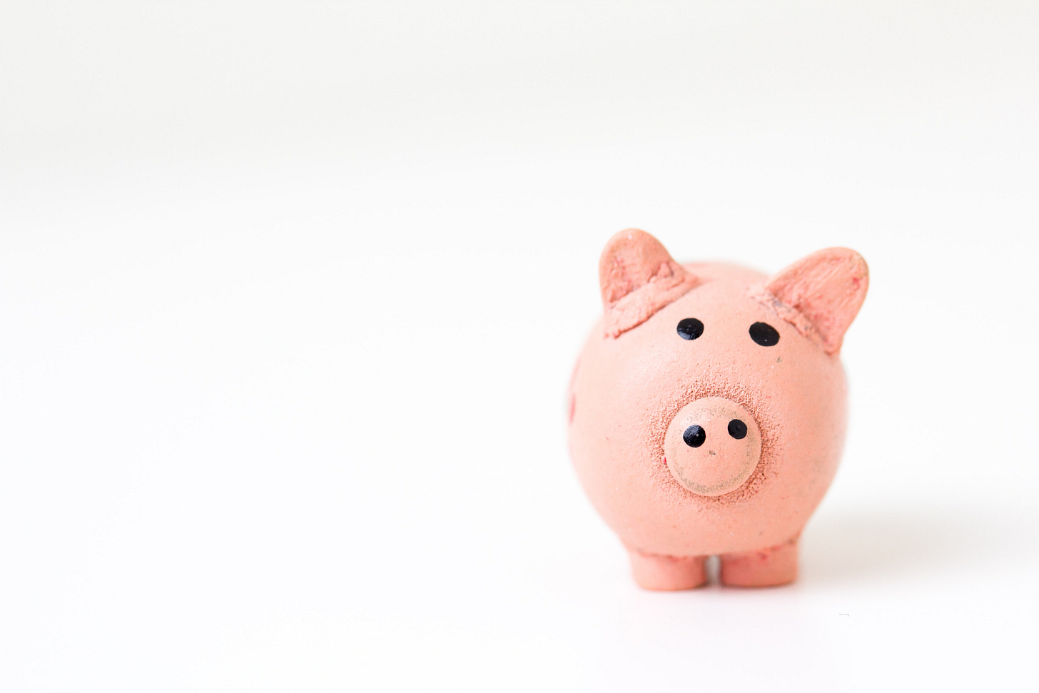 A photo of a rubbery pig on a blank white background A photo of a rubbery pig on a blank white background