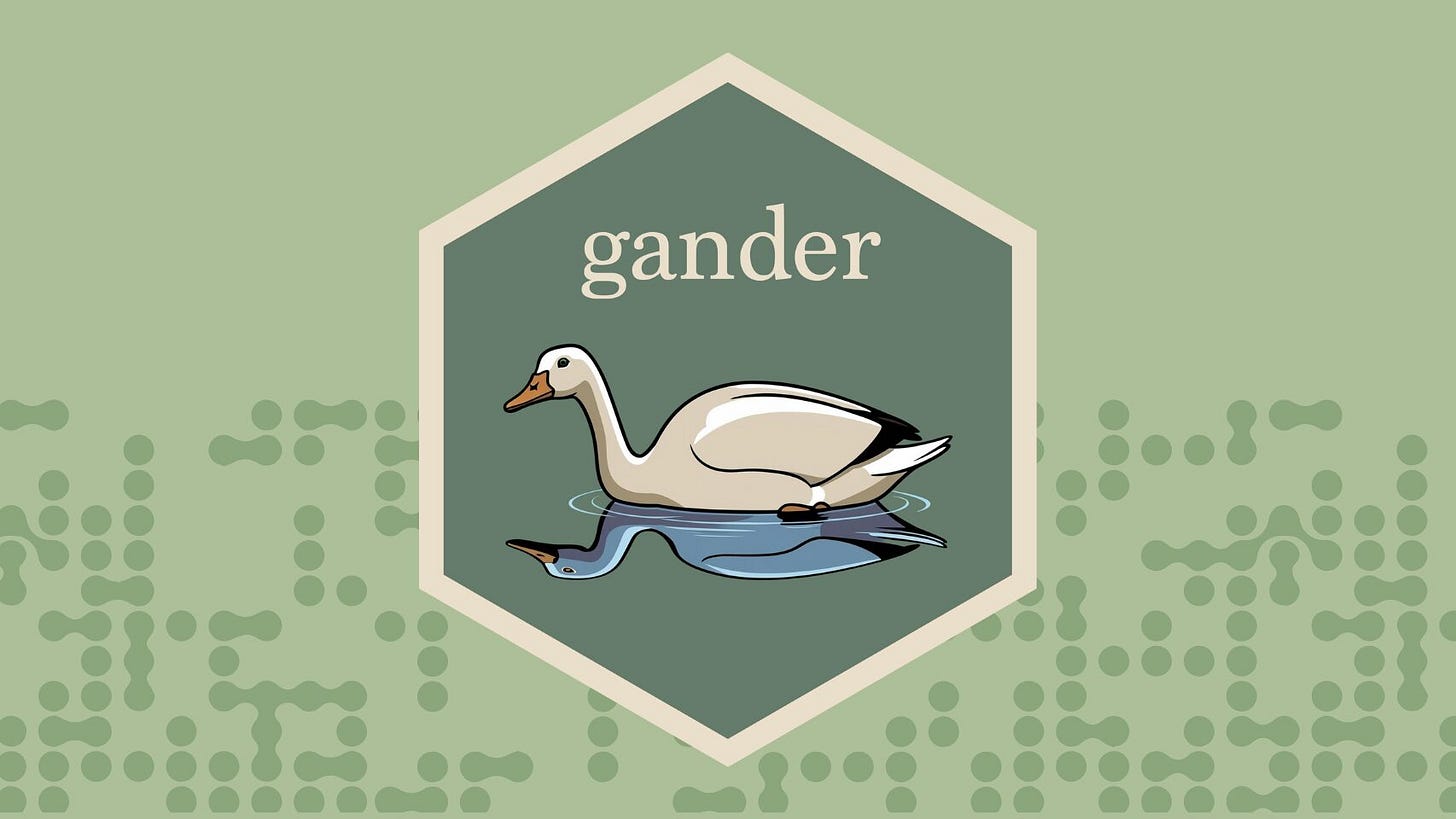 The Modern R Stack for Production AI - by Stephen D. Turner