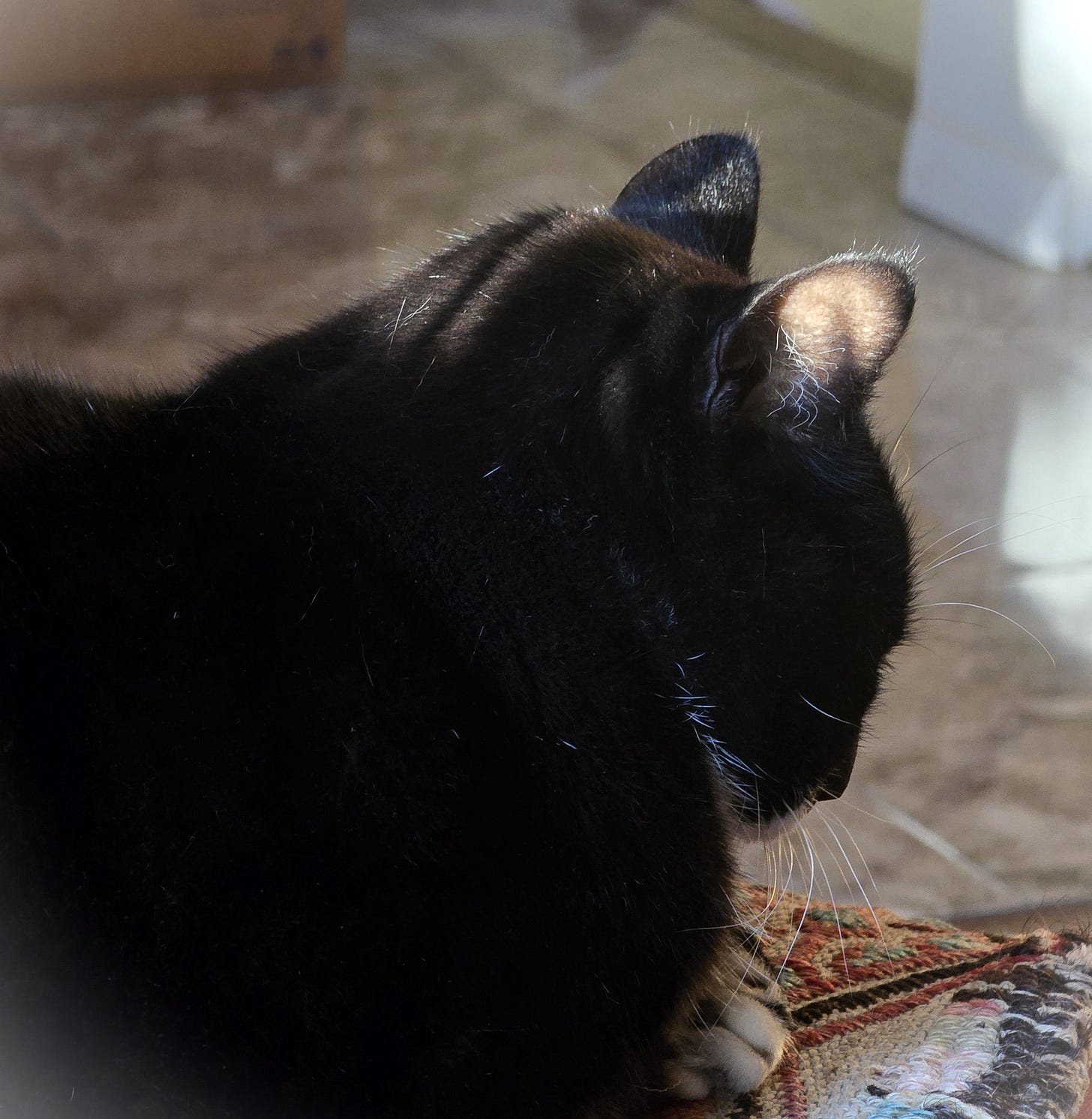 Soul-O in the morning