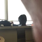 Helen the Cat