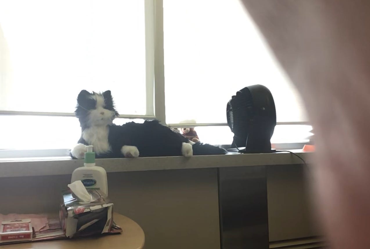 A black and white stuffed robot cat sitting on the hospital window sill.