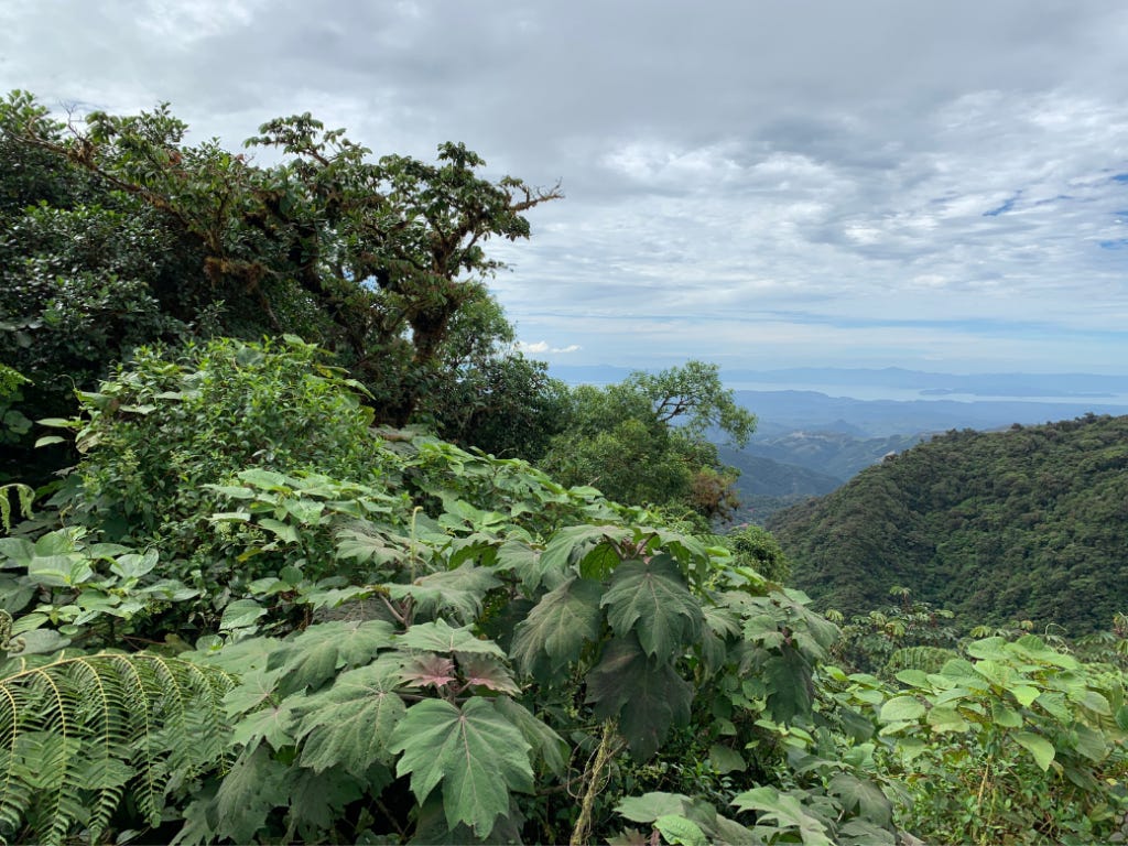 5 Unique Experiences in Costa Rica