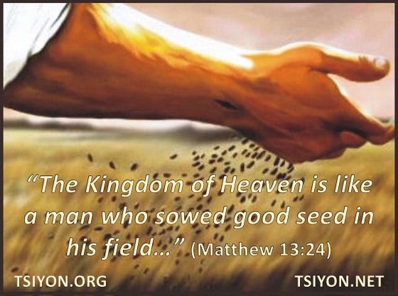 Matthew 13:24