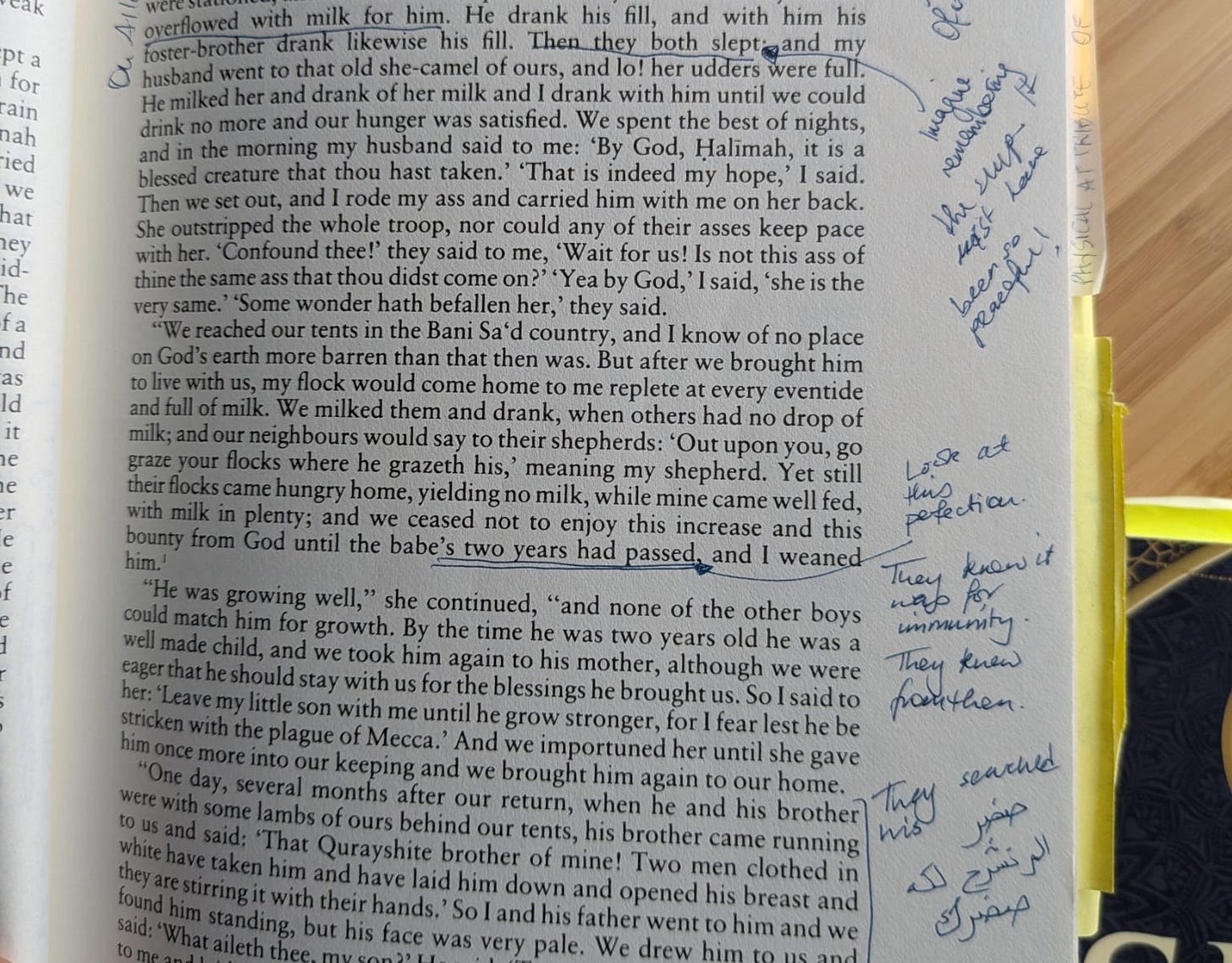 scribbles in margin to go back and forth with a non-fiction book scribbles in margin to go back and forth with a non-fiction book